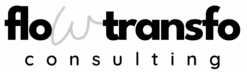 Flowtransfo Consulting
